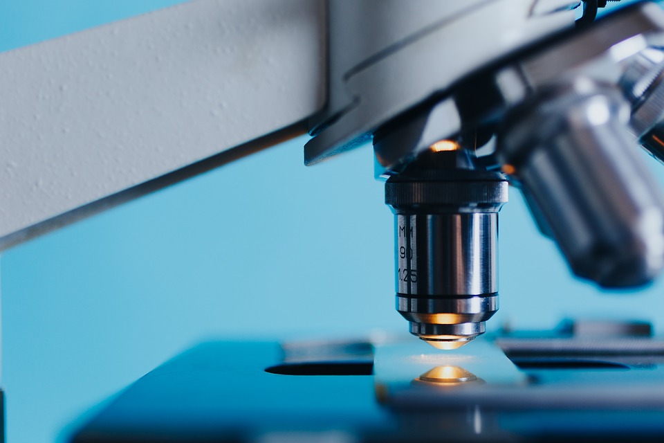 Interesting Facts About the Human Microbiome That Might Interest You