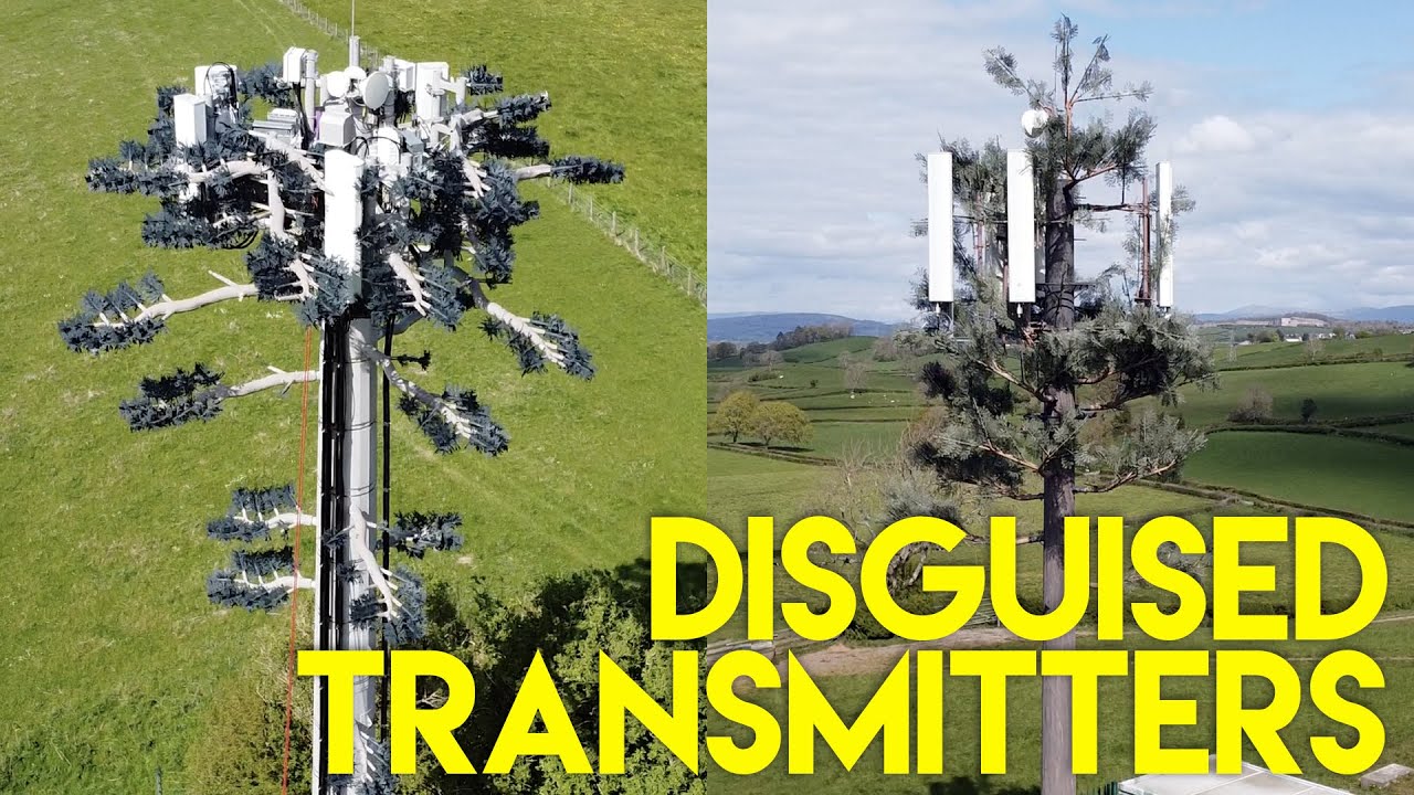 This Is Not A Tree – Disguised Radio Transmitter Towers