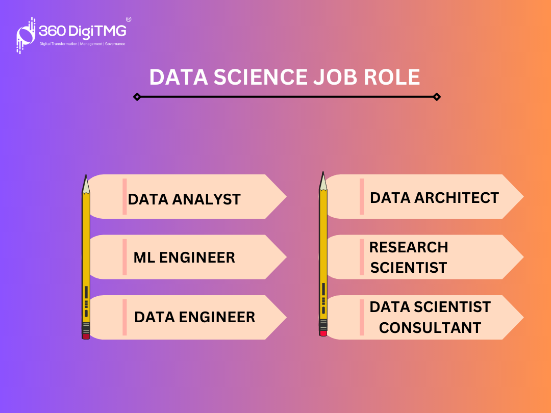 Top 10 Data Science Roles to Look Out for in 2024 Top 10 Data Science Roles to Look Out for in 2024