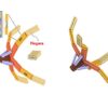 Addio Virus! Gli Scienziati Creano NanoGripper, il NanoRobot DNA che li “Cattura” Addio Virus! Gli Scienziati Creano NanoGripper, il NanoRobot DNA che li “Cattura”