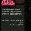 Gli Attacchi Pro-Palestina da parte del gruppo DXploit continuano a colpire l’Italia Gli Attacchi Pro-Palestina da parte del gruppo DXploit continuano a colpire l’Italia