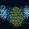 Dall’inganno di Zoom al disastro ransomware: viaggio nel cuore dell’attacco BlackSuit Dall’inganno di Zoom al disastro ransomware: viaggio nel cuore dell’attacco BlackSuit