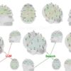 ChatGPT ci sta spegnendo il cervello! L’allarmante ricerca del MIT mostra il decadimento mentale ChatGPT ci sta spegnendo il cervello! L’allarmante ricerca del MIT mostra il decadimento mentale