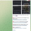 Ancora attacchi alle infrastrutture Italiane. NoName057(16) sferra nuovi attacchi DDoS Ancora attacchi alle infrastrutture Italiane. NoName057(16) sferra nuovi attacchi DDoS