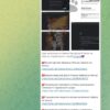 Italia sotto attacco DDoS da parte dei filorussi di NoName057(16)? Pochi disservizi Italia sotto attacco DDoS da parte dei filorussi di NoName057(16)? Pochi disservizi